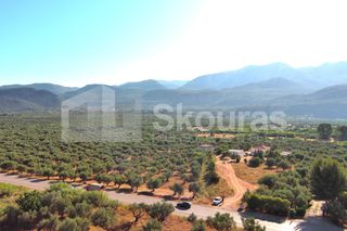 Οικόπεδο 3.155 τ.μ. για πώληση, Μεσσηνία, Άριο-thumb-4