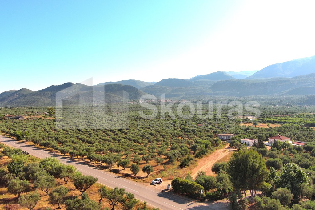 Οικόπεδο 3.155 τ.μ. προς πώληση, Άριο