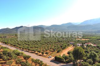 Οικόπεδο 3.155 τ.μ. για πώληση, Μεσσηνία, Άριο-thumb-2