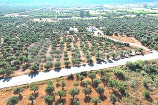 Οικόπεδο 3.155 τ.μ. για πώληση, Μεσσηνία, Άριο-thumb-6