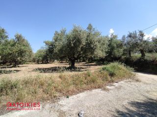 Οικόπεδο 500 τ.μ. για πώληση, Μεσσηνία, Καλαμάτα-thumb-5