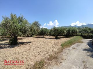 Οικόπεδο 500 τ.μ. για πώληση, Μεσσηνία, Καλαμάτα-thumb-3