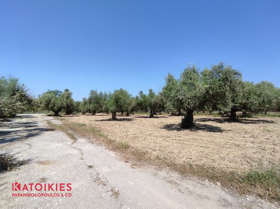 Οικόπεδο 500 τ.μ. για πώληση, Μεσσηνία, Καλαμάτα
