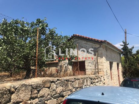 Studio / γκαρσονιέρα 50τ.μ. για πώληση-Αίγινα