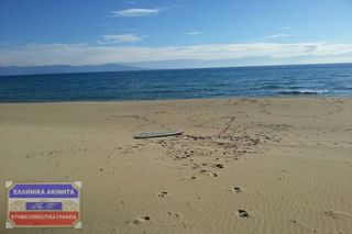 Αγροτεμάχια 4.508 τ.μ. για πώληση, Ν. Καβάλας, Ελευθερές-thumb-4