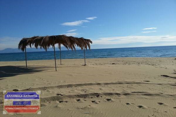 Αγροτεμάχια 4.508 τ.μ. για πώληση, Ν. Καβάλας, Ελευθερές