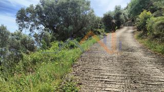 Αγροτεμάχια 4.000 τ.μ. για πώληση, Ν. Λευκάδας, Λευκάδα-thumb-14