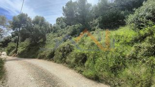 Αγροτεμάχια 4.000 τ.μ. για πώληση, Ν. Λευκάδας, Λευκάδα-thumb-12
