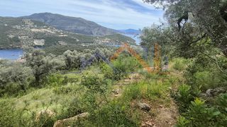 Αγροτεμάχια 4.000 τ.μ. για πώληση, Ν. Λευκάδας, Λευκάδα-thumb-13