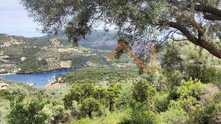 Αγροτεμάχια 4.000 τ.μ. για πώληση, Ν. Λευκάδας, Λευκάδα-thumb-11