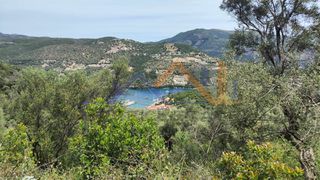Αγροτεμάχια 4.000 τ.μ. για πώληση, Ν. Λευκάδας, Λευκάδα-thumb-9
