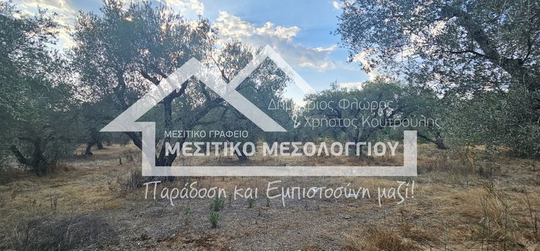 Αγροτεμάχια 8.976,30 τ.μ. για πώληση, Αιτωλοακαρνανία, Ιερά Πόλη Μεσολογγίου