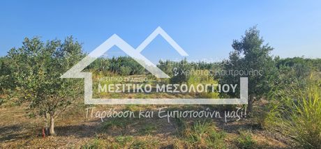 Parcel 14.429,6sqm for sale-Iera Poli Messologiou