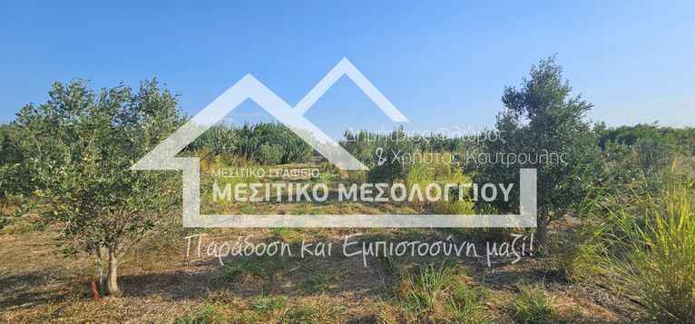 Αγροτεμάχια 14.429,60 τ.μ. για πώληση, Αιτωλοακαρνανία, Ιερά Πόλη Μεσολογγίου