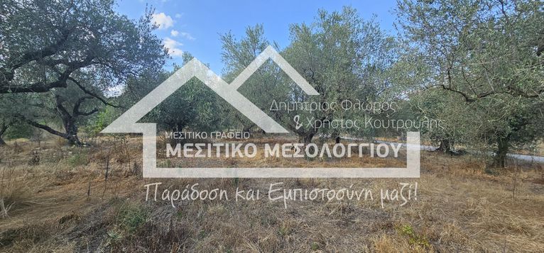 Αγροτεμάχια 9.682,72 τ.μ. για πώληση, Αιτωλοακαρνανία, Ιερά Πόλη Μεσολογγίου