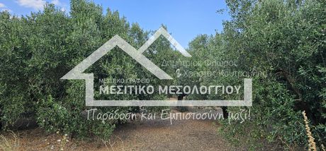 Parcel 8.890sqm for sale-Iera Poli Messologiou