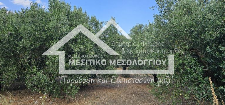 Αγροτεμάχια 8.890 τ.μ. για πώληση, Αιτωλοακαρνανία, Ιερά Πόλη Μεσολογγίου