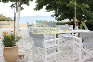 Hotel 4.200sqm for sale-Andros