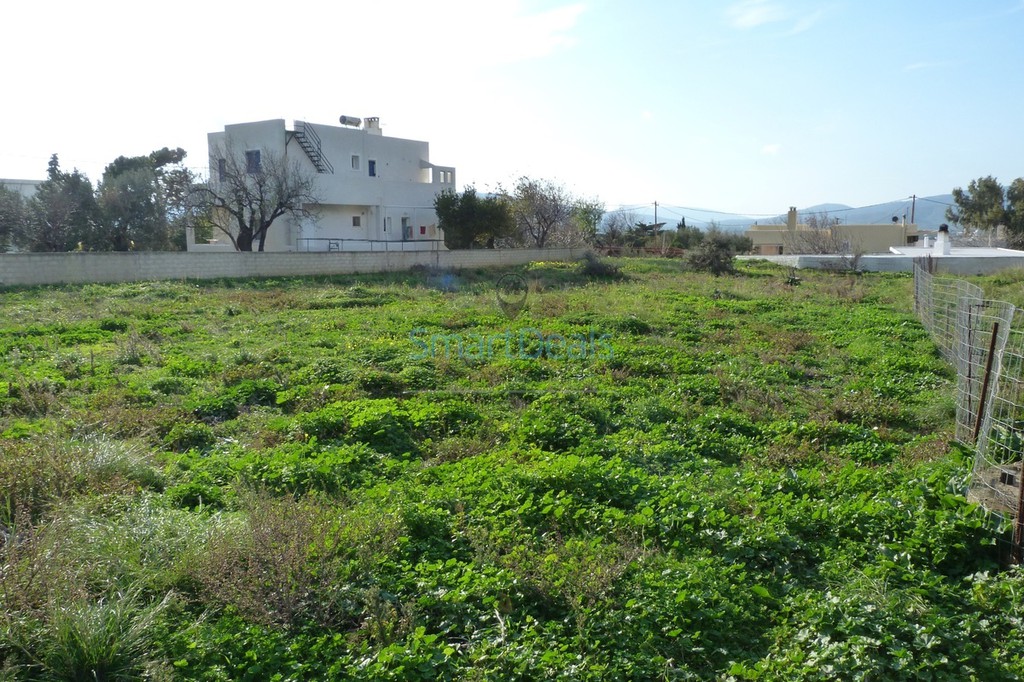 Οικόπεδο 4.006 τ.μ. προς πώληση, Κέντρο Καρύστου