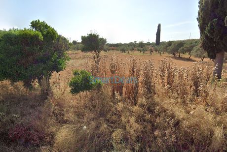 Αγροτεμάχια 8.179τ.μ. για πώληση-Ευρωστίνη