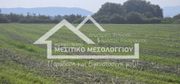 Αγροτεμάχια 13.509,59τ.μ. για πώληση-Οινιάδες