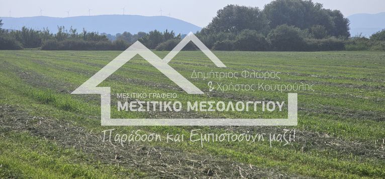 Αγροτεμάχια 13.509,59 τ.μ. για πώληση, Αιτωλοακαρνανία, Οινιάδες