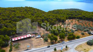 Οικόπεδο 1.278 τ.μ. για πώληση