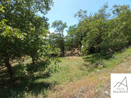Land plot 400sqm for sale-Karpenisi