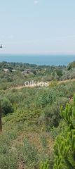 Μονοκατοικία 262 τ.μ. για πώληση