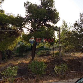 Land plot 525sqm for sale-Rafina