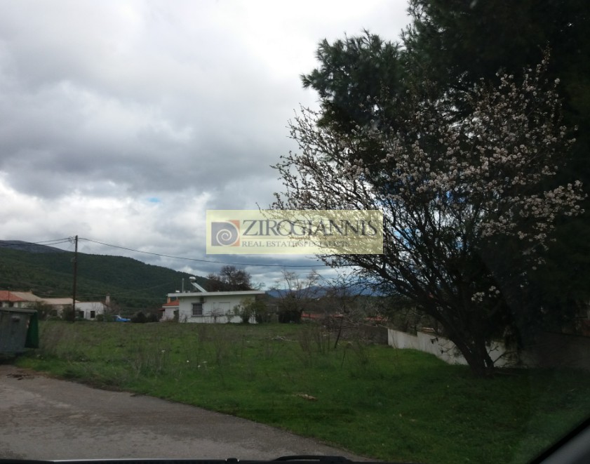 Οικόπεδο 1.362 τ.μ. προς πώληση, Βίλια Αττικής