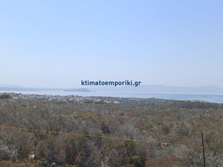 Οικόπεδο 5.900 τ.μ. για πώληση
