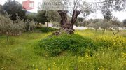 Οικόπεδο 397τ.μ. για πώληση-Αίγινα
