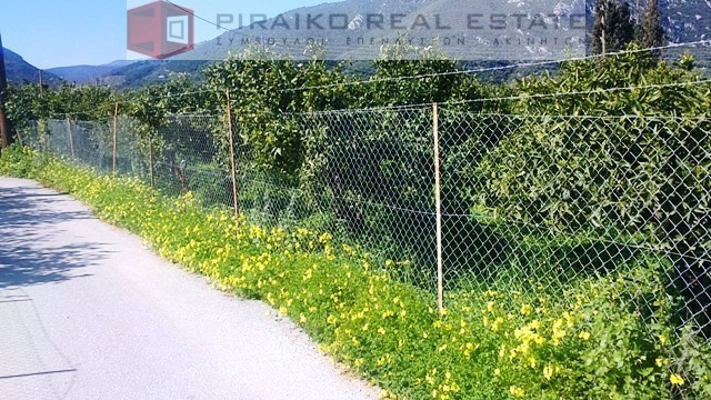 Οικόπεδο 4.000 τ.μ. προς πώληση, Τροιζήνα