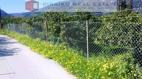 Land plot 4.000 sqm for sale