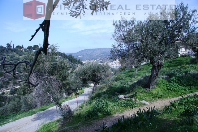 Οικόπεδο 4.160 τ.μ. προς πώληση, Τροιζήνα