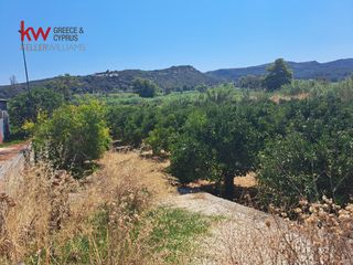 Οικόπεδο 10.610,81 τ.μ. για πώληση, Ν. Χανίων, Πλατανιάς-thumb-12