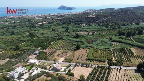 Οικόπεδο 10.610,81τ.μ. για πώληση-Πλατανιάς