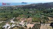 Land plot 10.610,81sqm for sale-Platanias
