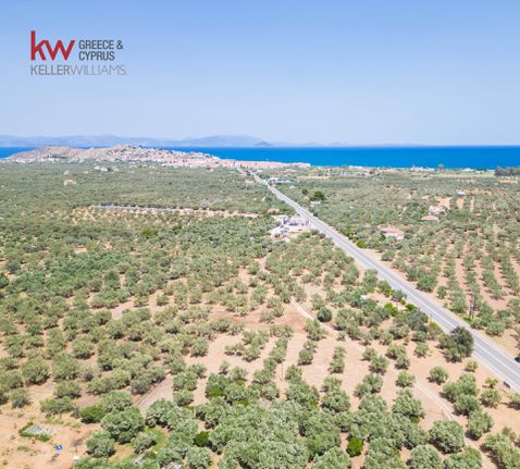 Οικόπεδο 1.317 τ.μ. για πώληση, Αρκαδία, Βόρεια Κυνουρία