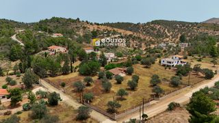 Μονοκατοικία 35 τ.μ. προς πώληση, Θυνί-thumb-1