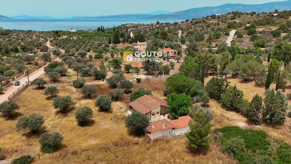 Μονοκατοικία 35 τ.μ. προς πώληση, Θυνί