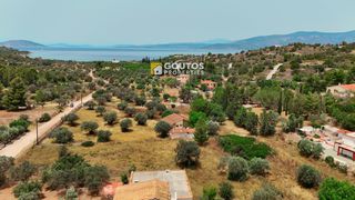 Μονοκατοικία 35 τ.μ. προς πώληση, Θυνί-thumb-8