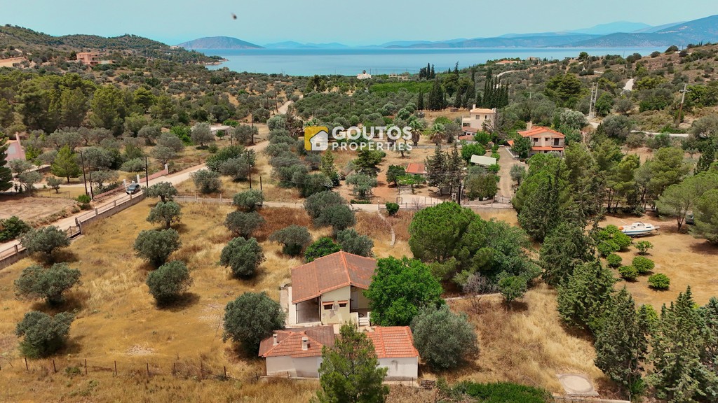 Μονοκατοικία 35 τ.μ. προς πώληση, Θυνί