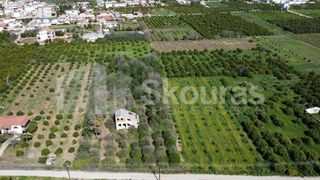 Μονοκατοικία 90 τ.μ. για πώληση, Αργολίδα, Μιδέα-thumb-21