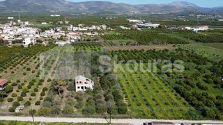Μονοκατοικία 90 τ.μ. για πώληση, Αργολίδα, Μιδέα-thumb-20