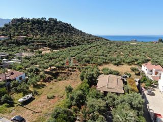Οικόπεδο 1.000 τ.μ. για πώληση, Μεσσηνία, Λεύκτρος-thumb-9
