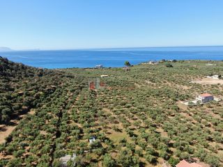 Οικόπεδο 1.000 τ.μ. για πώληση, Μεσσηνία, Λεύκτρος-thumb-8
