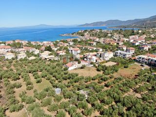 Οικόπεδο 1.000 τ.μ. για πώληση, Μεσσηνία, Λεύκτρος-thumb-19