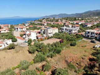 Οικόπεδο 1.000 τ.μ. για πώληση, Μεσσηνία, Λεύκτρος-thumb-13